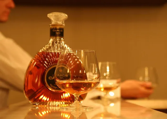 Great Polonia Old Town 克拉科夫